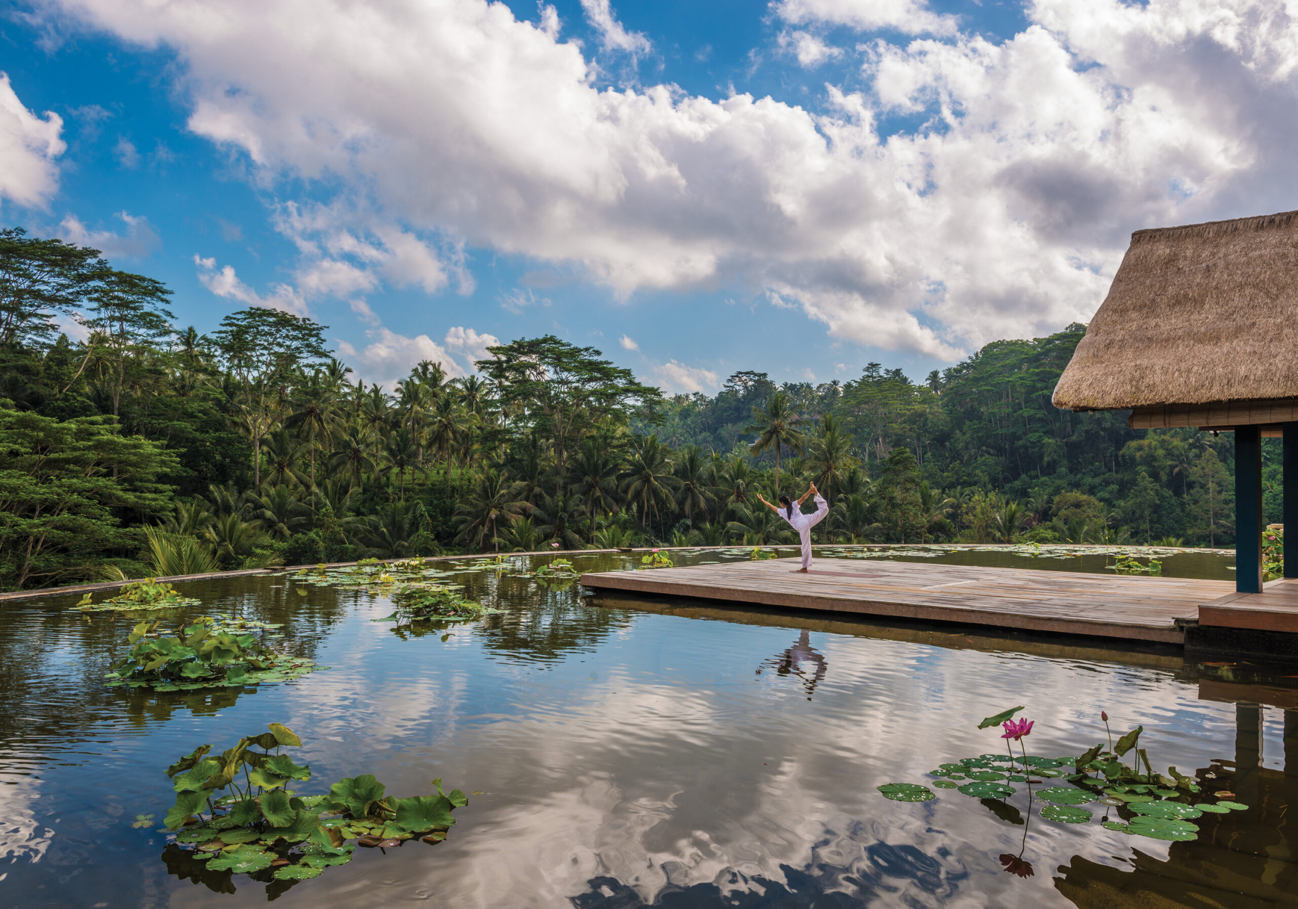 Four Seasons Resort Bali at Sayan – Lotusteich auf dem Dach mit Dschungelblick