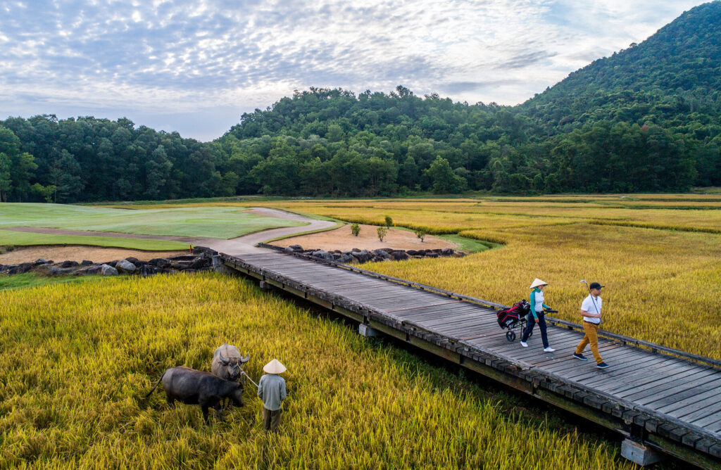 Laguna Golf Course zwischen Reisfeldern nahe dem Resort