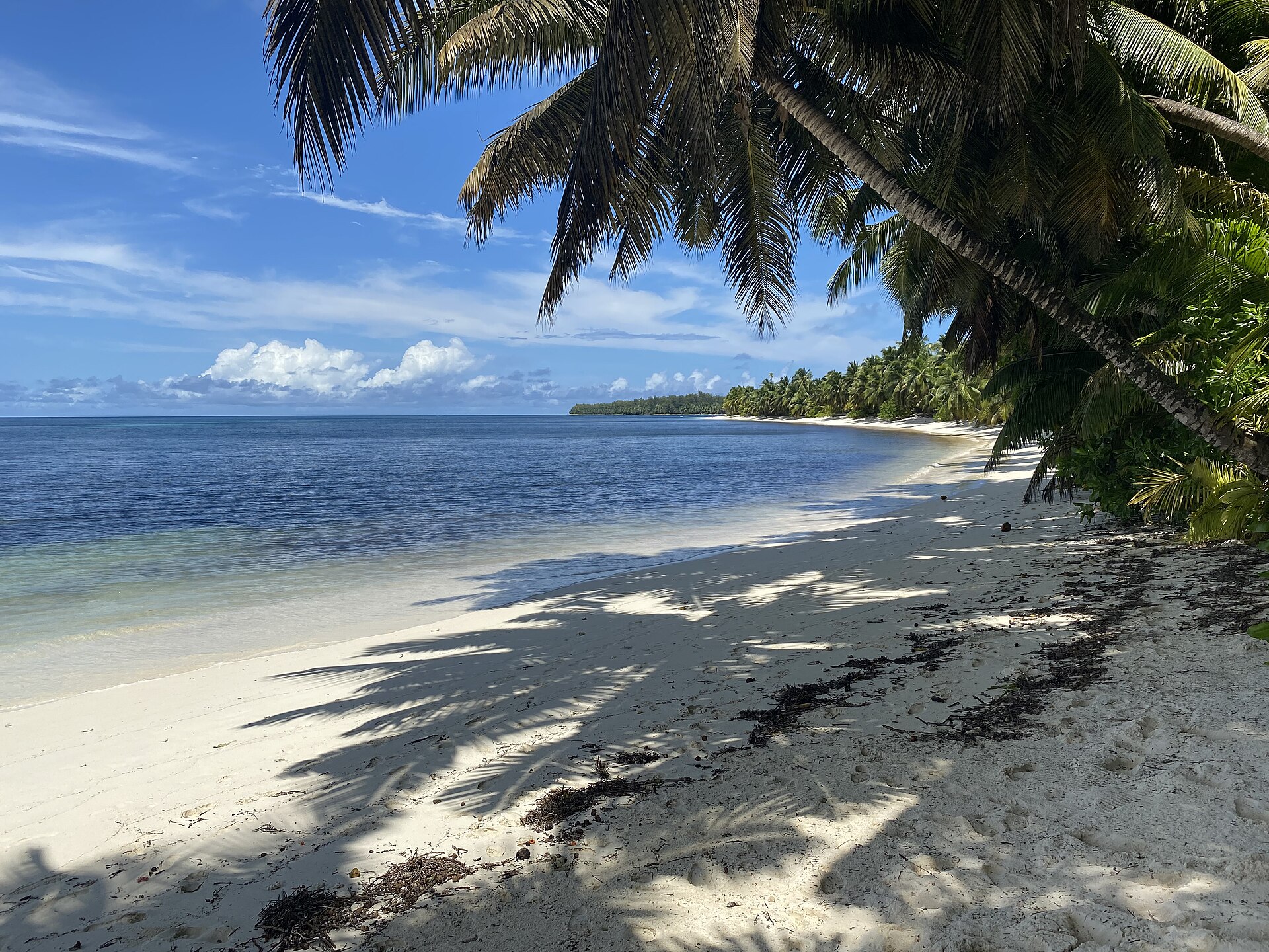 Palmenstrand auf einer Koralleninsel der Seychellen
