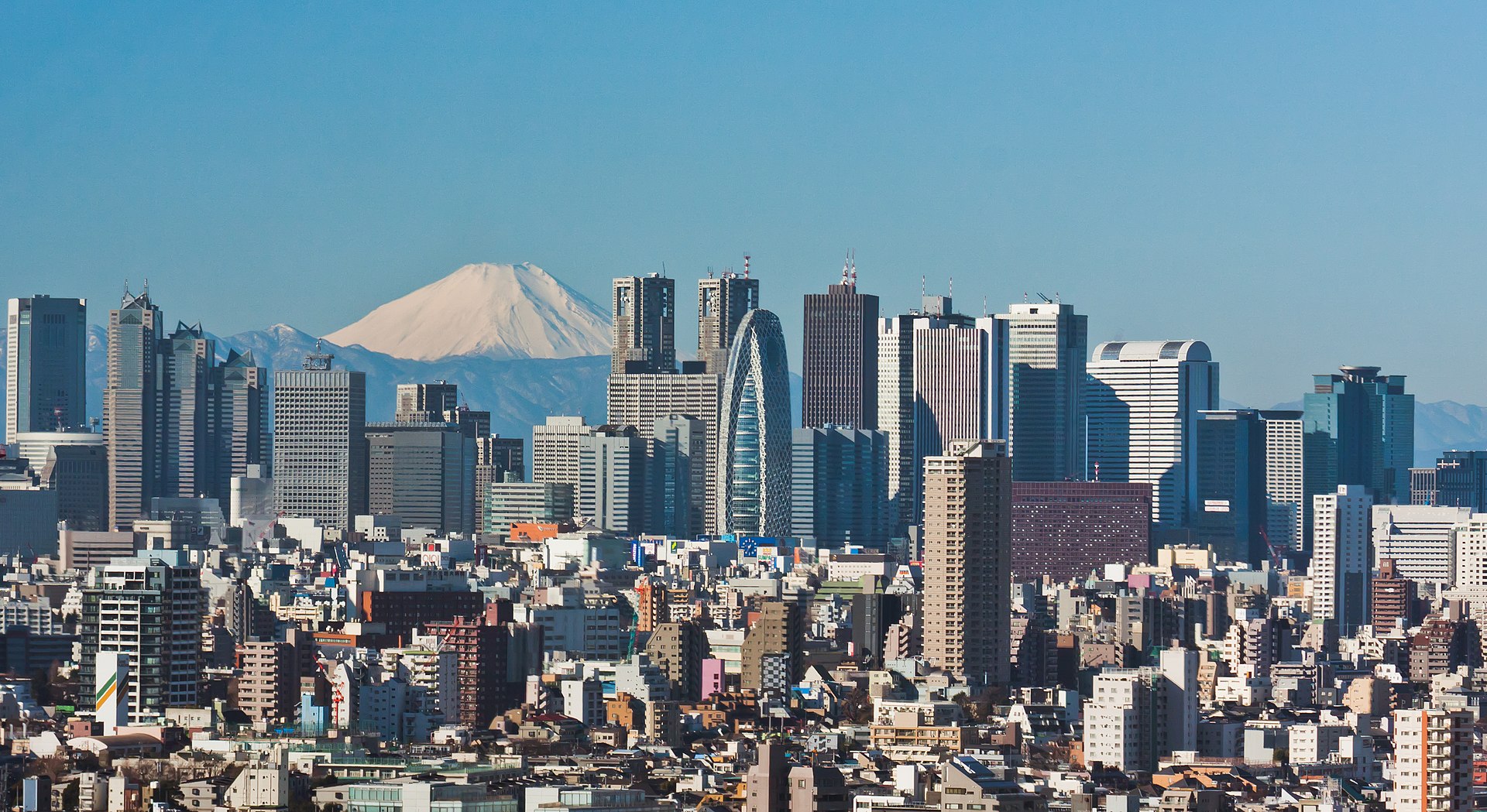 Die Hochhäuser von Shinjuku vor dem Fuji