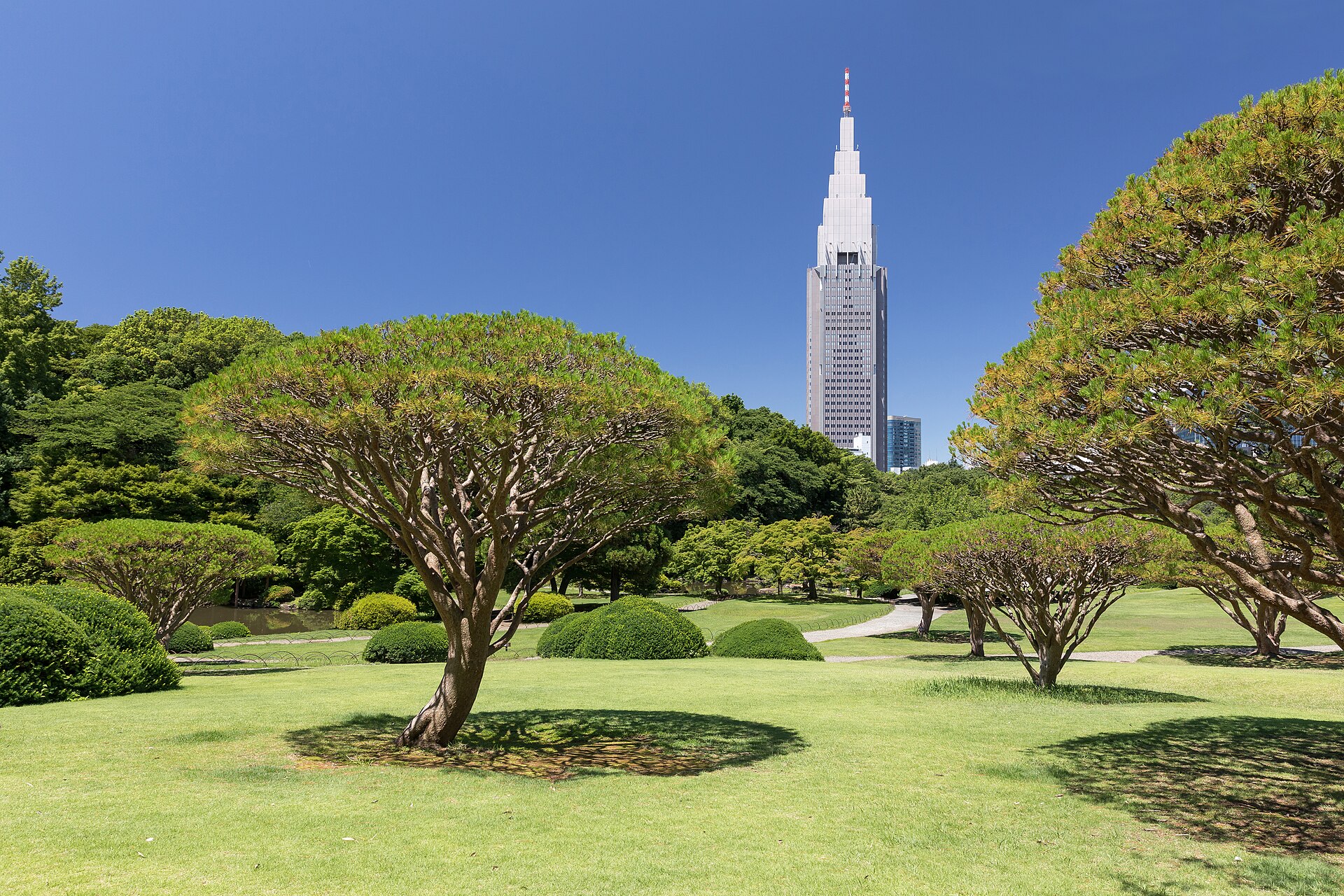 Shinjuku Gyoen mit dem NTT-Docomo-Turm
